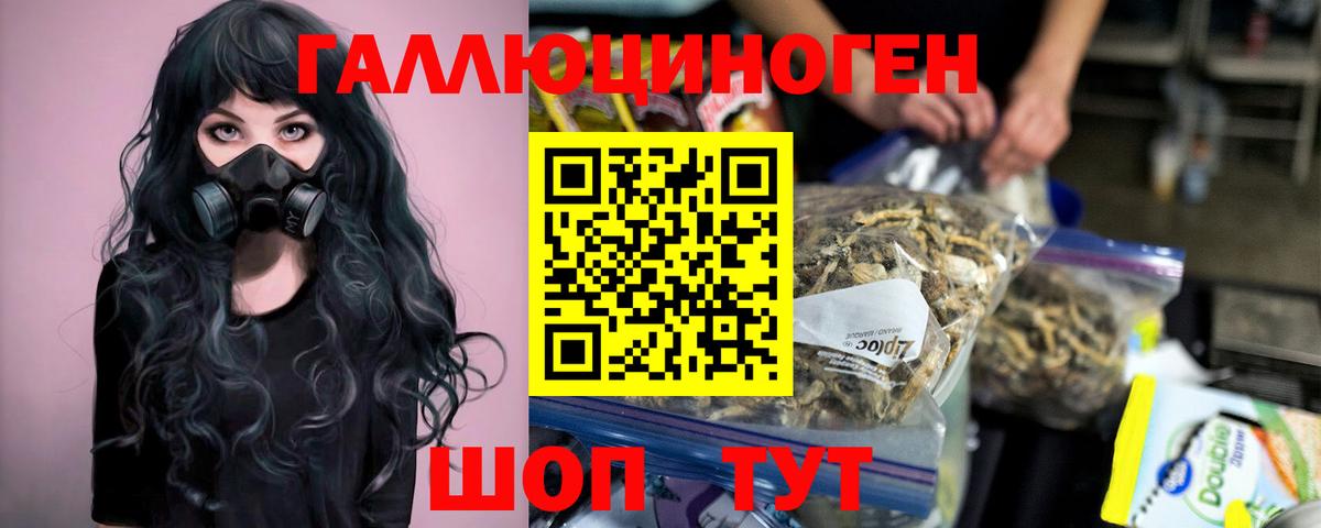 Псилоцибиновые грибы мицелий Кизилюрт